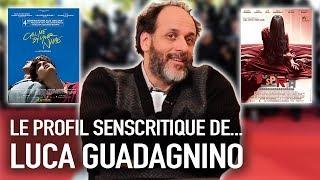 LE PROFIL SENSCRITIQUE DE... - Luca Guadagnino