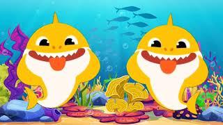 Baby Shark | Baby Shark Doo Doo Doo Doo | Baby Shark Dance | Cartoon | Nursery Rhymes | Kids Song