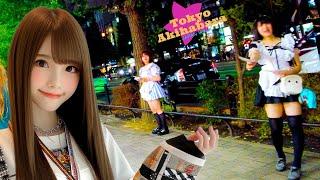 Akihabara Maid CafeTokyo DigestNonstop 1 hour 4K