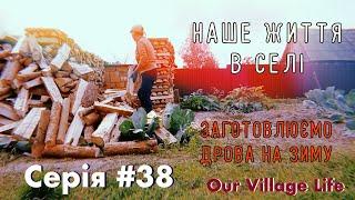 Заготовлюємо дрова на зиму 🪵 | Серія #38 | Наше життя в селі