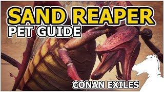 SAND REAPER | Pets Guide | CONAN EXILES