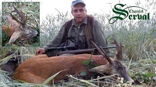 Hunting atypical Roebuck in Croatia - Jagd auf Rehbock mit abnormen Gehörn
