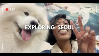 Solo traveling | Last full day in Korea | Seoul | samoyed dog cafe | exploring Hongdae