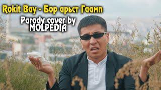 Rokit Bay - Бор арьст Гаамп | Parody cover by Molpedia 