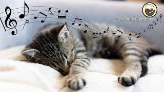 Cat Music - Sounds that Cats Love, Harp Music and Water Sounds