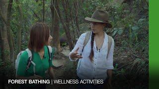 Forest Bathing | Wellness Series