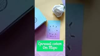 Срочный совет от Таро#таро #руны #расклады #раскладнатаро #гадание