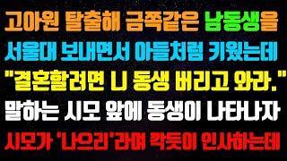 [실화사연] 고아원 탈출해 금쪽같은 남동생을 서울대 보내면서 아들처럼 키웠는데 상견례장에서 시모가 " 결혼할려면 니 동생 버리고 와라." 시모앞에 동생이 나타나자