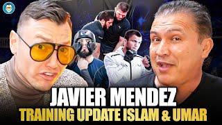 Javier Mendez Reacts to Merab Beef with Umar, Admits Khabib “Will Be a Wreck”