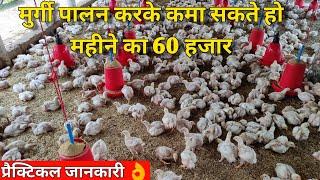 मुर्गी पालन कैसे शुरु करे/ how to start poultry farm