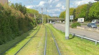 Mit der  Straßenbahn durch ️￼Freiburg  grüne Stadt, rasen auf Linie1 frisch geschnitten,￼￼￼￼￼