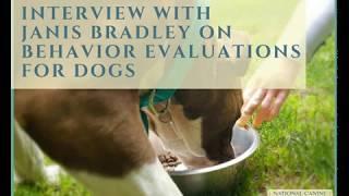 Interview with Janis Bradley on Canine Behavior Evaluations