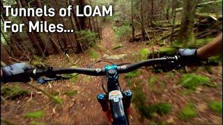 There's Nothing Quite Like Riding Miles of Loam | Bike The Whites