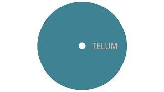 Unknown Artist - Untitled A1 [TELUM012]