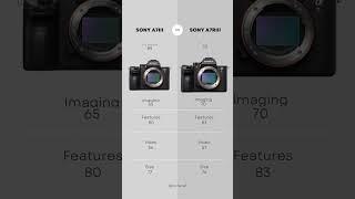 Sony A7III vs Sony A7RIII Comparison! #camera #video #sony #comparison #fullframe