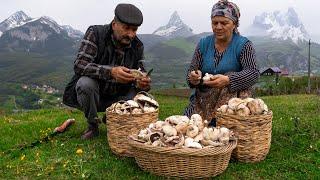 Mountain to Table: Foraging and Cooking Mushrooms in Shahdag