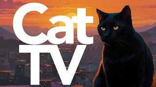 Cat TV - ULTIMATE Cat Entertainment Adventure Video! Birds, Outdoor Walking and More! 