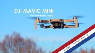 DJI Mavic Mini - First Cinematic Drone Video - Grolloo (The Netherlands)