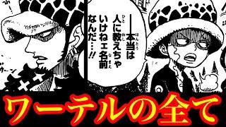 最凶の一族…!!  隠し名「D」忌み名「ワーテル」の意味とは…!! そしてベガパンクの真のメッセージは… 【ワンピースネタバレ】【ワンピース最新話】【ワンピース考察】