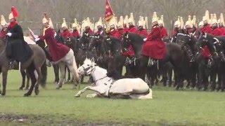 Household Cavalry: Season Starts With a Slip-Up | Forces TV