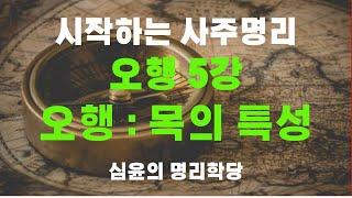 시작하는 사주명리 "오행5강"  내사주 내가보는 공부하는 곳 #명리학 #사주 #사주명리 #사주팔자 #자기계발 #교육