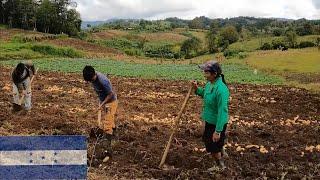 Asi VIVE la comunidad indígena mas ANTIGUA DE Honduras : Los LENCAS 🫶