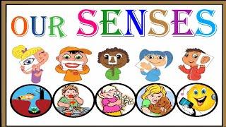 SENSES || Our Senses || 5 Senses || Human Basic Senses || Kids Preschool Learning || Classic Senses