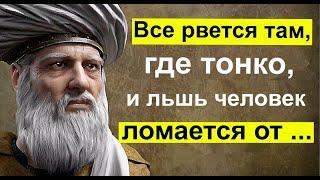 Слова, которые пронизывают до глубины сознания. Мудрые высказывания. Цитаты