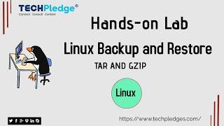 Hands-on Lab: Linux Backup and Restore Using TAR AND GZIP | Linux Admin Tutorial Module 5(Lab)