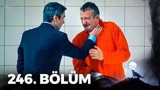 Kurtlar Vadisi Pusu - 246. Bölüm FULL HD