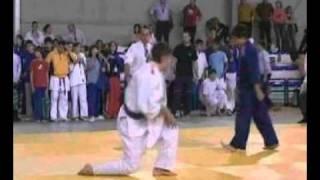 cpto judo andalucia infantil y cadete 2007 94