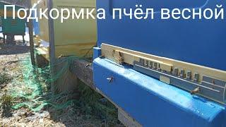 Подкормка пчел весной. Пчеловодство.