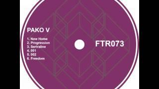 Freedom - Original mix - Pako V  - Finish Team Records