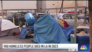 900 unhoused people died in LA in 2023: City officials