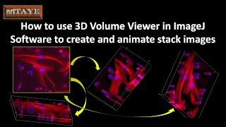 How to use 3D Volume Viewer in ImageJ Software to create and animate stack images