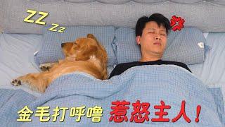 It's terrible that the owner should behave so aggressively because the dog snores too loudly!