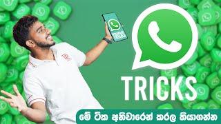 WhatsApp Tips & Tricks in Sinhala 2024 That Will Blow Your Mind!