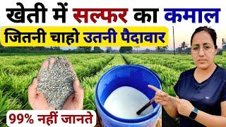 खेती में सल्फर के सही इस्तेमाल से भरपूर पैदावार | Sulphur use in agriculture | Sulphur fertilizer