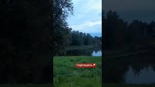 Прогулка с размышлениями #татьянамакаренко #любовьксебе