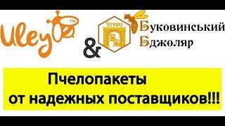 Пчелопакеты от надежных поставщиков!!! Улей Ин & Буковиский Бджоляр. www.uley.in / www.uleyshop.com