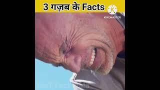 3 गजब के Facts  - देखकर होस उड़ जाएंगे | part 2 | MsT Fact Wala #youtubeshorts #shorts