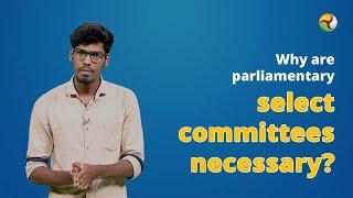 Why are parliamentary select committees necessary?