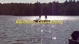 Wachoo Gunadoo - Holty