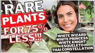 RARE HOUSE PLANTS FOR 75% LESS! Prices are dropping in 2023!  I’VE NEVER SEEN THESE PLANTS BEFORE!