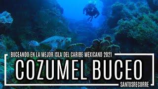  Así es BUCEAR en la MEJOR ISLA DEL CARIBE MEXICANO 2021 - BUCEO EN COZUMEL 