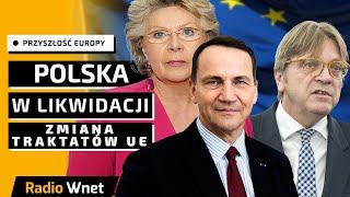 Przyszłość Europy #8: Sikorski i Verhofstadt chcą zbudować mocarstwo posteuropejskie