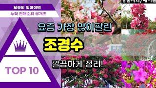 조경수 추천 판매순위 Top10 || 가격 평점 후기 비교