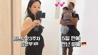 23주 돌입! 짱아 출산예정일은.. +  군인아빠가 보고싶어 금요일만 기다리는 루카️ ㅣ국제가족 독일일상