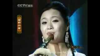 Beautiful Chinese Music,  Fairy Footsteps In Greenland- Chen Yue