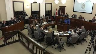 Saleh Waziruddin speech to St. Catharines City Council